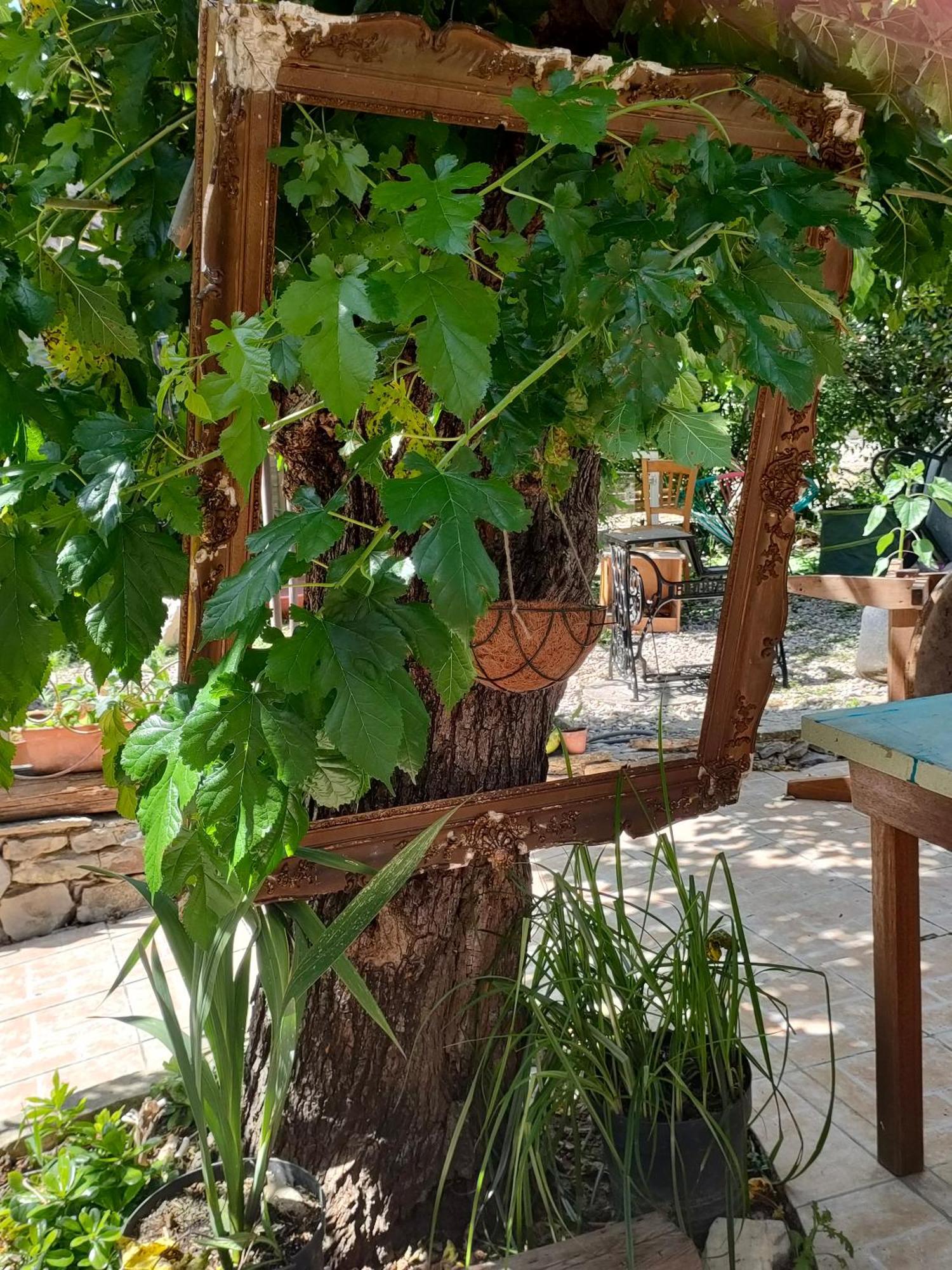 Les P'Tits Velos Bed & Breakfast Chandolas Exterior photo